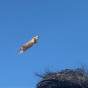 Meet your Posher, Jay